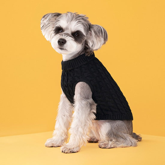 Black Fall & Winter Pet Knit Sweater – Solid Color Cable Knit Turtleneck for Small Dogs, Soft Breathable Warm Clothing with 3D Fit Design, Ideal for Teddy, Poodle, and Bichon(Size: M)