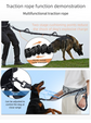Grey Shock-Absorbing Running & Dog Walking Belt – Integrated Waist Pack with Retractable Traction Rope and Ergonomic Support