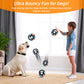 Colorful Dog Toy: Handheld Bouncing Ball with Sound – TPR Material, 13cm Diameter, Bite-Resistant & Floatable for Active Play
