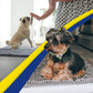 Dark blue 50×80 cm Extra-Thick Chenille Floor Mat for Bathrooms and Pet Use – High-Density Absorbent, Non-Slip, Machine-Washable Rug for Dogs and Humans