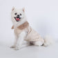 M Size Beige Winter Padded Cotton Dog Thermal Plaid Vest with Faux Fur Collar - Thick Fleece-Lined Warm Pet Jacket