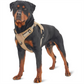 Black Professional Adjustable Tactical Dog Mesh Harness - Reflective No-Pull Pet Vest with Control Handle (S Size for Weight 18-35 lbs)