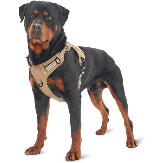 Black Professional Adjustable Tactical Dog Mesh Harness - Reflective No-Pull Pet Vest with Control Handle (M Size for Weight 30-50 lbs)