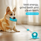 3-Piece Set (Blue, Purple, Green) Slipper-Shaped Dog Toys — Suction Cup Design: Durable, Chew-Resistant Teething Toys — Promotes Mental Stimulation, Independent Play, and Energy Expenditure — Pet Dog Teething Toys
