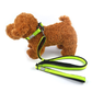 Green M size Vibrant Reflective Dog Collar and Leash Set - Adjustable Nylon Pet Harness with Comfortable Padding