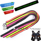 Green L size Vibrant Reflective Dog Collar and Leash Set - Adjustable Nylon Pet Harness with Comfortable Padding