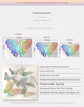 3D Butterfly Wall Stickers - Iridescent Silver Paper - 72pcs Set, Hollow Cut Design, Removable Decor for Home, Party, Wedding, Kids Room, Easy Peel and Stick-Style B