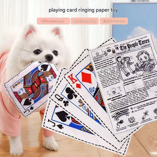 Dog Chew Toy Set - 10 Piece Playing Card Crinkle Sound Toys for Dogs(Q)