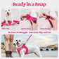 Blue Breathable Dog Harness and Leash Set - Adjustable Reflective Pet Vest with Swivel Clip(Size: S)