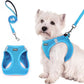 Blue Breathable Dog Harness and Leash Set - Adjustable Reflective Pet Vest with Swivel Clip(Size: XL)