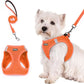 Orange Breathable Dog Harness and Leash Set - Adjustable Reflective Pet Vest with Swivel Clip(Size: M)