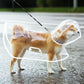 6XL Size Waterproof EVA Transparent Dog Hooded Raincoat and Pet Full-Coverage Poncho with Adjustable Snaps & Hidden Leash Opening, Quick-Drying and Easy to Clean for Small Medium Large Dogs