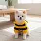 Size L Bee Fleece Hoodie Jumper for Small Dogs & Cats with 5 Hair Clips - Winter Warm Pet Apparel Australia