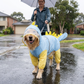 Blue Dog Raincoat Dinosaur Hooded Waterproof Jacket 6XL Size with Leash Hole Removable Tail Cover Full Body Coverage Pet Rain Coat for Outdoor Walking Large Dogs