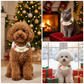 Christmas Pet Collar（Cane and pine cone） Knitted Festive Dog Cat Collar Red Green Adjustable Soft Lightweight Holiday Pet Accessories for Small Dogs and Cats  Party Wear