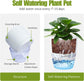 White Indoor Self Watering Planter Pot - 6 Inch Double Layer Rempvable Plastic Flower Pot with Extra Large Water Storage and Cotton Rope for All House Plants, Flowers, Herbs