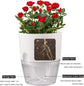 Grey Indoor Self Watering Planter Pot - 6 Inch Double Layer Rempvable Plastic Flower Pot with Extra Large Water Storage and Cotton Rope for All House Plants, Flowers, Herbs