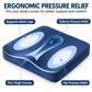40 x 40CM Pink Ergonomic Memory Foam Seat Cushion with Soft Velvet Cover and Non-Slip Base - Contoured Dual Recess Design for Long Sitting Support & Coccyx Relief