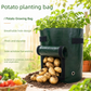 Potato Grow Bags 4 Pack 35x50cm Vegetable Planting Bags PE Garden Planter Bags for Potatoes Tomatoes Fruits and Vegetables