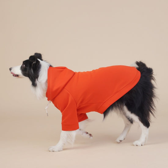 Orange Classic Dog Sweatshirt with Hood & Drawstrings - For Large Dogs (Size : 2XL)