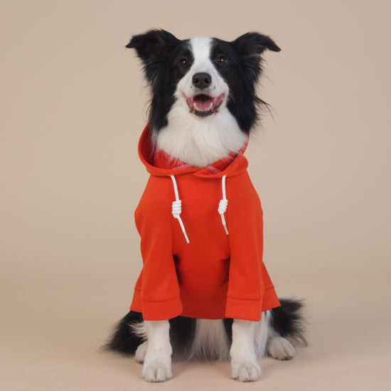 Orange Classic Dog Sweatshirt with Hood & Drawstrings - For Large Dogs (Size : 2XL)