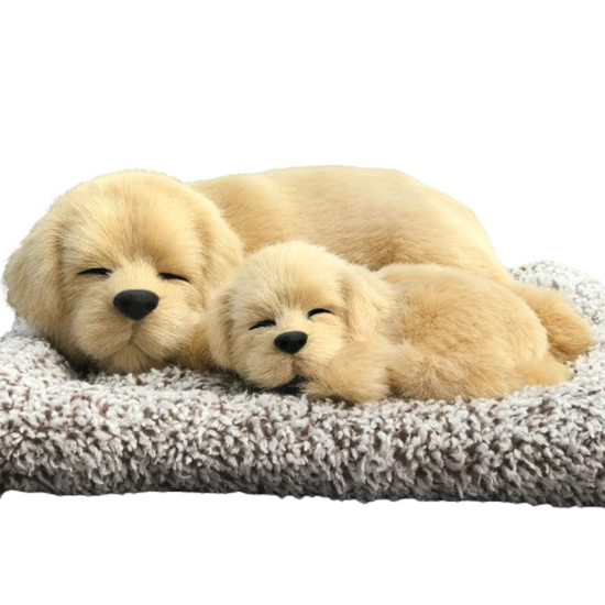 Sleepy Tails - Mother and Baby - Golden Retriever