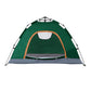 Weisshorn Camping Tent Instant Tent Pop up 2 Person Outdoor Hiking Tents Hiking Green
