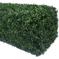 Portable Artificial Boxwood Hedge UV Resistant 25cm High 100cm Long