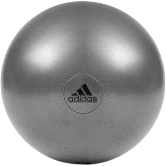 Adidas Gym Ball with Pump Exercise Yoga Fitness Pilates Birthing Training 55cm