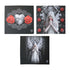 Anne Stokes Set of 3 Only Love Remains Wall Canvas