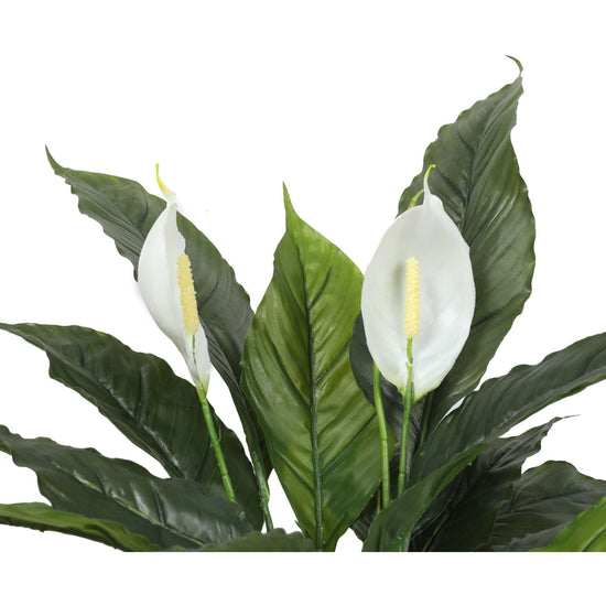 Artificial Spathiphyllum Peace Lily Plant With White Flowers 60cm