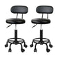 Artiss 2x Salon Stool Swivel Chair Backrest