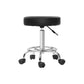 Artiss Salon Stool Round Swivel Chair Black