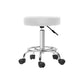 Artiss Salon Stool Round Swivel Chair White