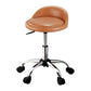 Artiss Salon Stool Swivel Chair Backrest Chairs