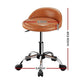 Artiss Salon Stool Swivel Chair Backrest Chairs