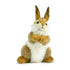 Bunny Plush 30cm - Magdasmall