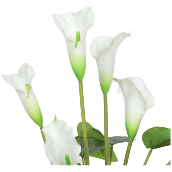 Artificial Flowering White Peace Lily / Calla Lily Plant 50cm