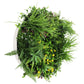 Slimline Artificial Green Wall Disc Art 60cm Country Fern UV Resistant (White)