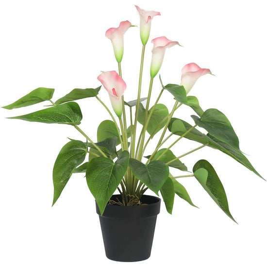 Artificial Flowering White & Pink Peace Lily / Calla Lily Plant 50cm