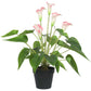 Artificial Flowering White & Pink Peace Lily / Calla Lily Plant 50cm