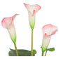 Artificial Flowering White & Pink Peace Lily / Calla Lily Plant 50cm