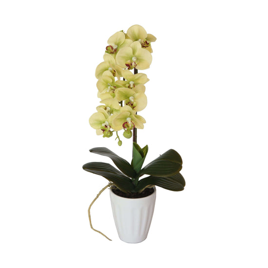 40cm Butterfly Artificial Potted Orchid Cream