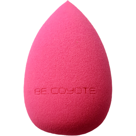 Beauty Sponge