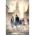 Fantastic Beasts - New York Street Poster - Magdasmall