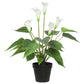 Artificial Flowering White Peace Lily / Calla Lily Plant 50cm