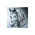 Horse Portrait Square Cushion Cover - Magdasmall