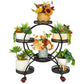 NOVEDEN Indoor Outdoor Flower Holder Stand Shelf Display Multiple Flower Pot