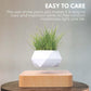 GOMINIMO Magnetic Levitating Plant Pot