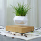 GOMINIMO Magnetic Levitating Plant Pot